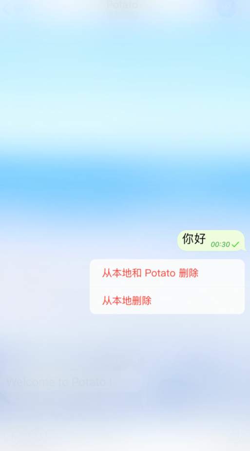 Potato土豆聊天国内版截图3