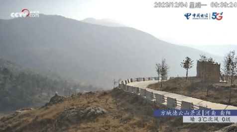 鲨鱼TV一站式平台截图1