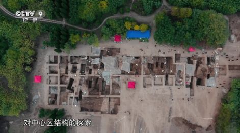 鲨鱼TV一站式平台截图4