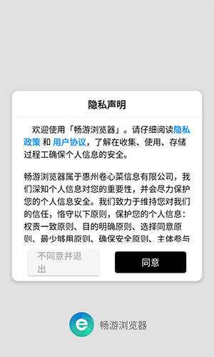 畅游浏览器截图1