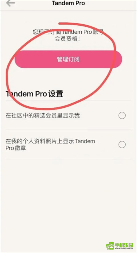 tandem正版