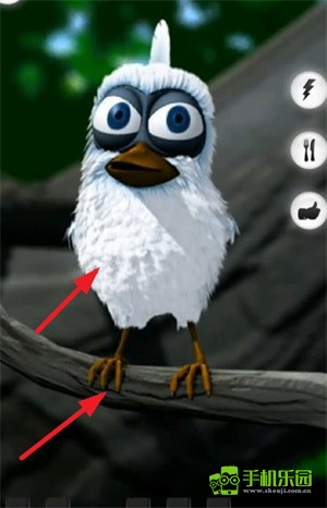 会说话的拉里鸟(talkingLarry)