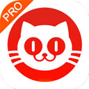 猫眼专业票房实时版
