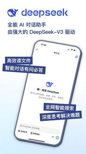 deepseek满血版截图1