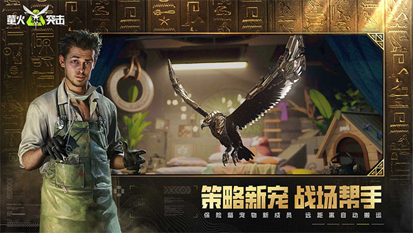 萤火突击渠道服截图2