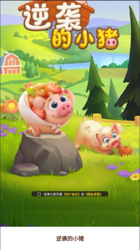 逆袭的小猪