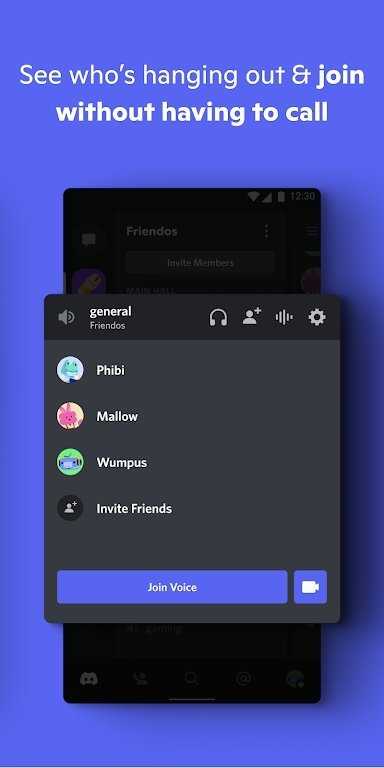 discord手机版截图3