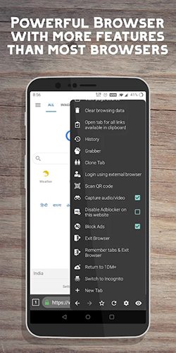 idm截图3