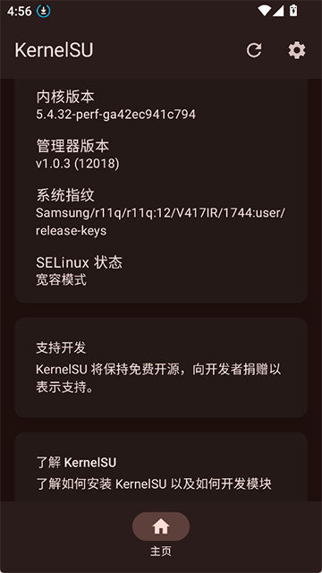 KernelSU面具截图3