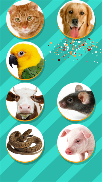 PetTranslator动物翻译截图1