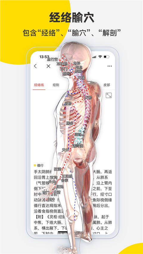 3dbody免费版截图1