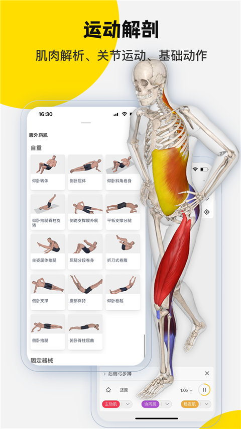3dbody免费版截图5