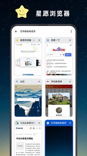 星愿浏览器手机版截图2