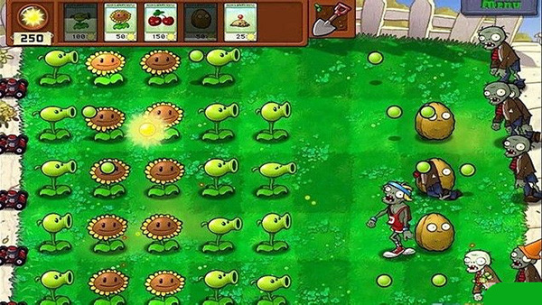 植物大战僵尸2010年度版截图4