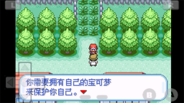 口袋妖怪火红截图3