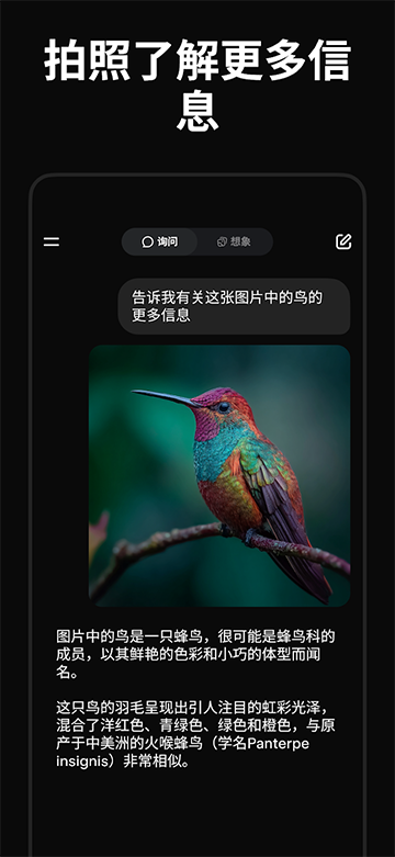 Grok截图2