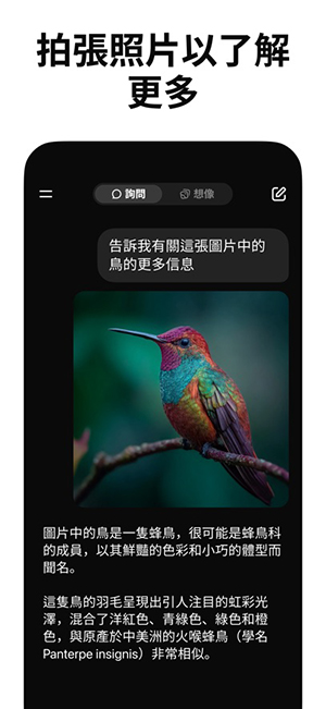 grok4.1卸甲版截图3
