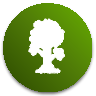 泰拉瑞亚灾厄直装版