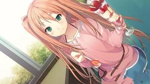 恋爱与选举与巧克力游戏手机版截图3