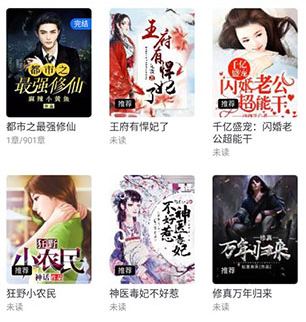 书旗小说极速版
