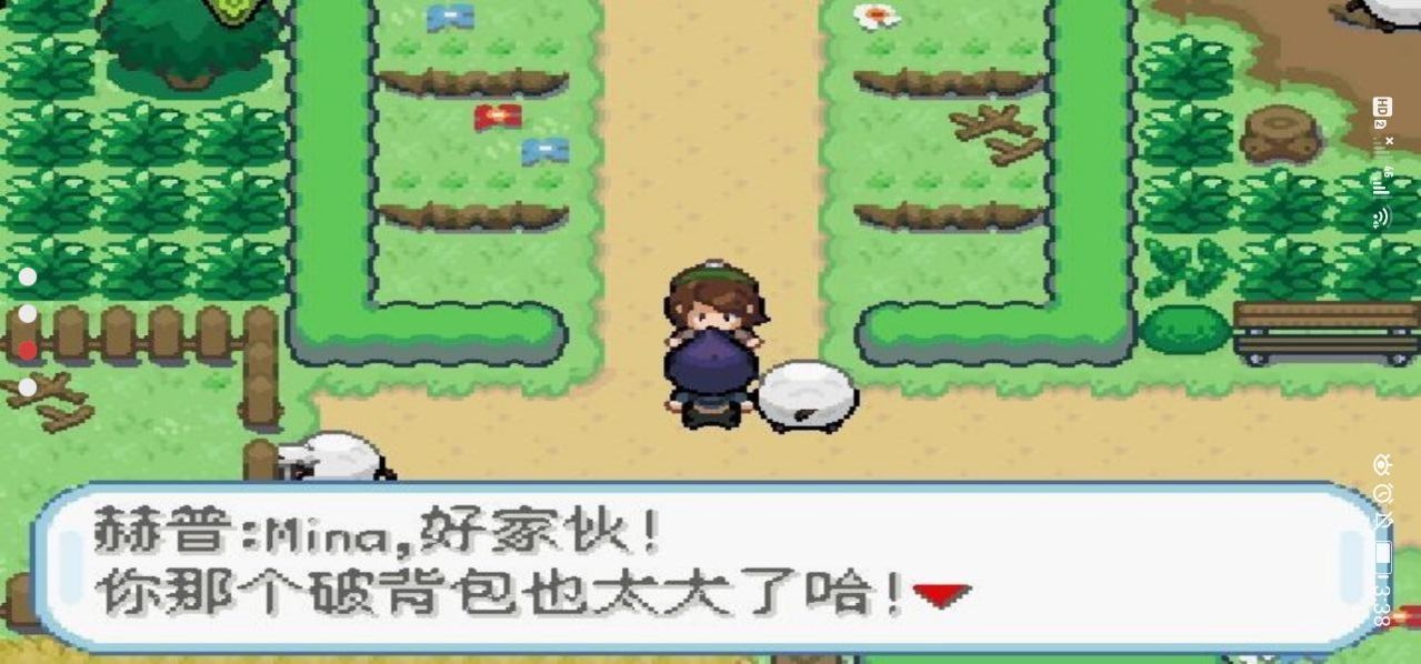 口袋妖怪剑盾终极加强版截图2