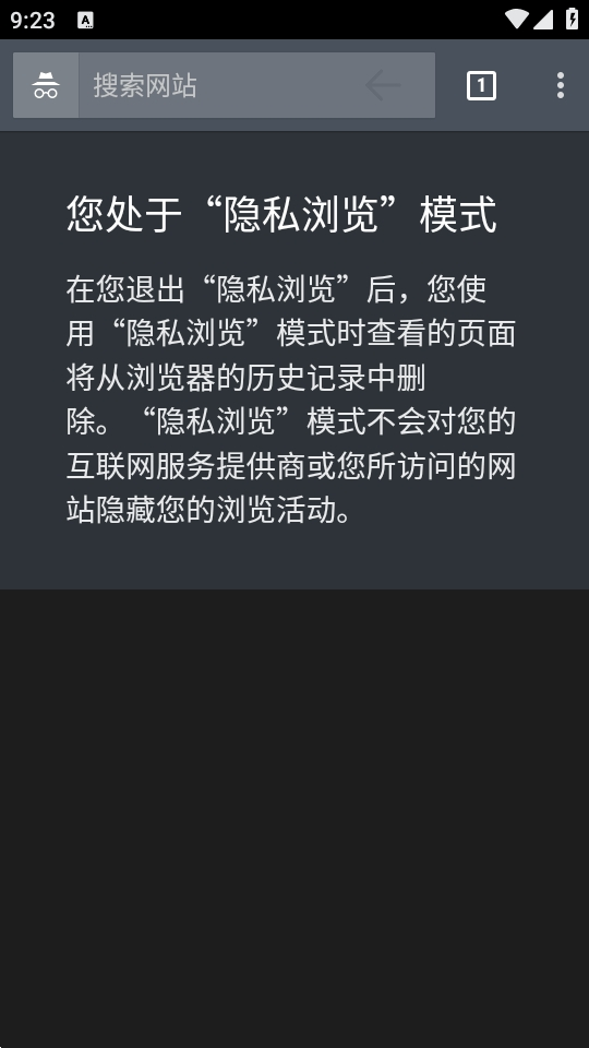 Silk浏览器截图5