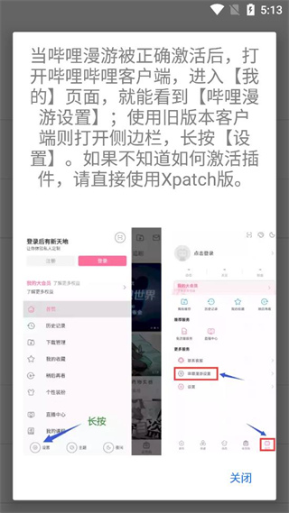 B站漫游版截图3