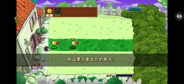 pvzikun版截图3
