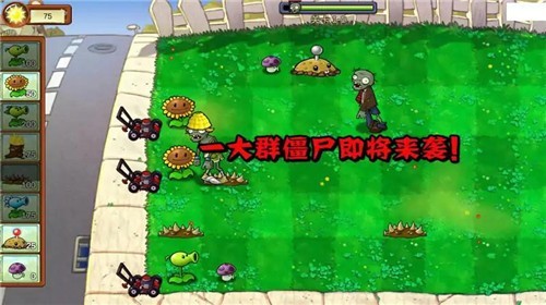 pvz重生版截图3