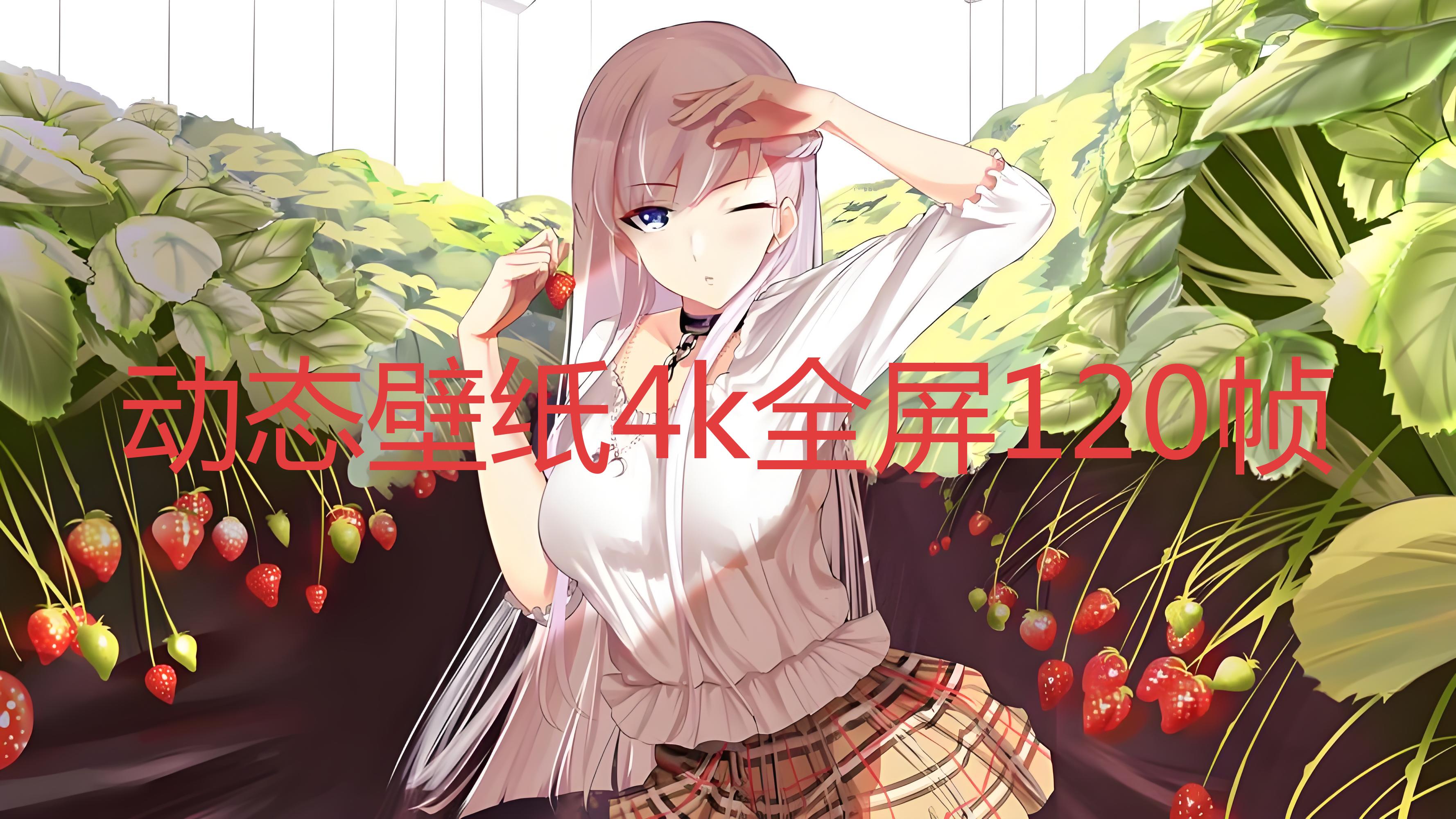 动态壁纸4k全屏120帧