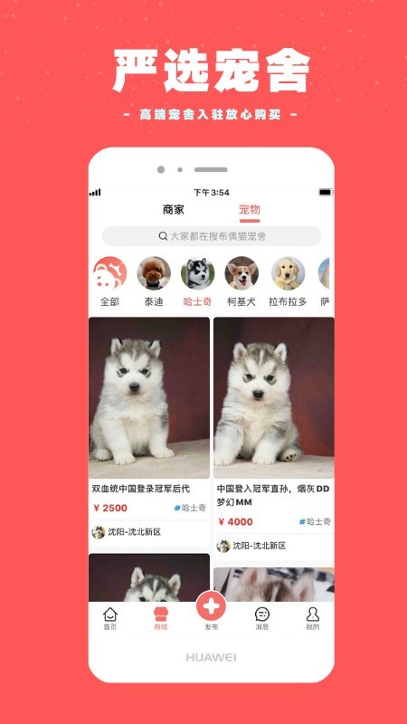 宠物王国截图1