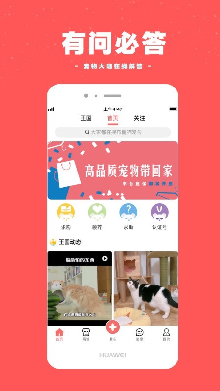 宠物王国截图2
