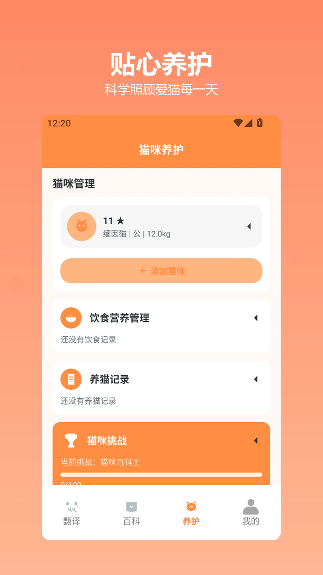快乐小猫截图2