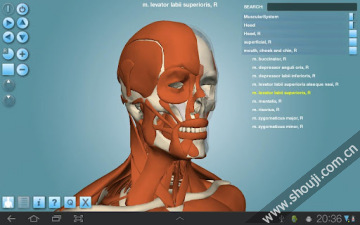 人体构造 Anatomy 3D Pro-Anatronica v2.07截图6