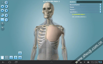 人体构造 Anatomy 3D Pro-Anatronica v2.07截图1
