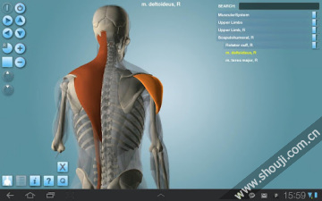 人体构造 Anatomy 3D Pro-Anatronica v2.07截图2