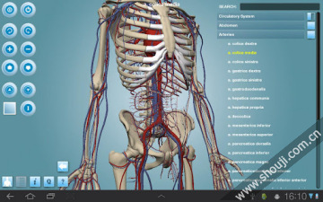 人体构造 Anatomy 3D Pro-Anatronica v2.07截图4