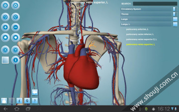 人体构造 Anatomy 3D Pro-Anatronica v2.07截图3