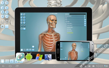 人体构造 Anatomy 3D Pro-Anatronica v2.07截图8