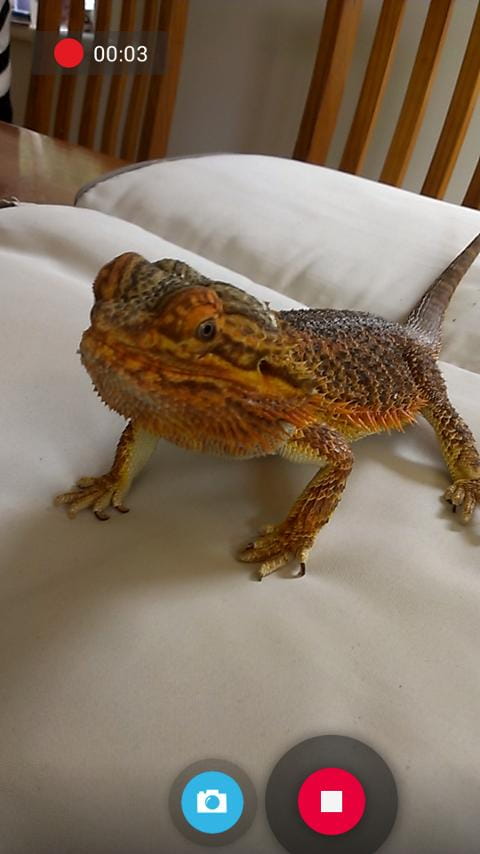 Snap Camera HDR v8.2.6截图2