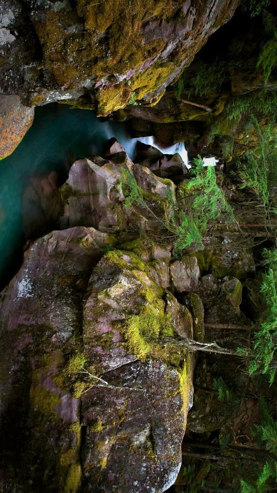 日图app手机版截图5