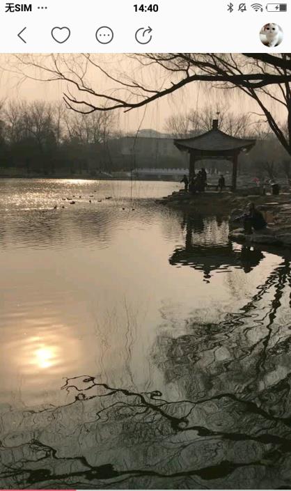 她拍官方客户端  v3.7.0截图1