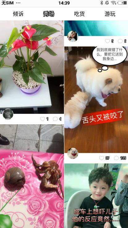 她拍官方客户端  v3.7.0截图4