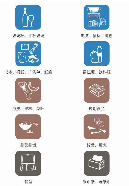 垃圾分类专家APP界面截图