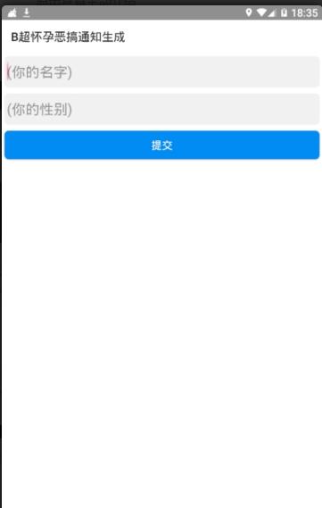 B超检查生成器界面示例