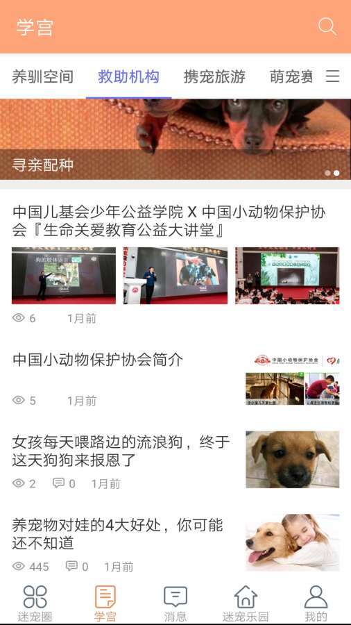 迷宠圈官方客户端 v1.0截图1