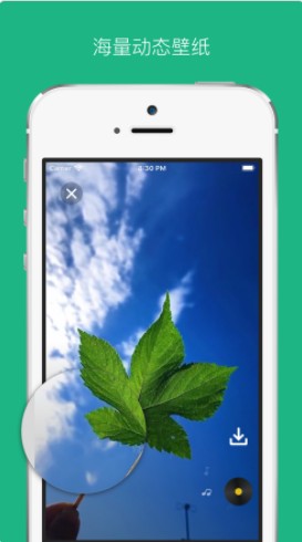 91动态壁纸APP官方版 v1.0截图4
