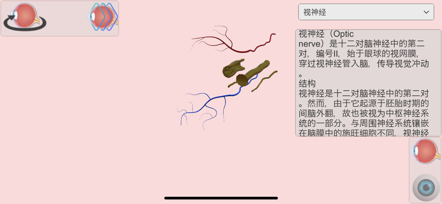 眼部解剖圖集app免费版手机版 v1.0截图3