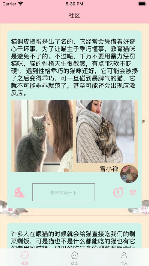 猫咪生活社区app官方版最新版 v1.0截图1