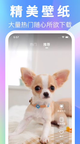 壁纸大全app免费版下载 v1.0.0截图2